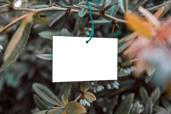 Quelle démarche suivre pour l'obtention du label écologique pour un fabricant de jouets en bois?